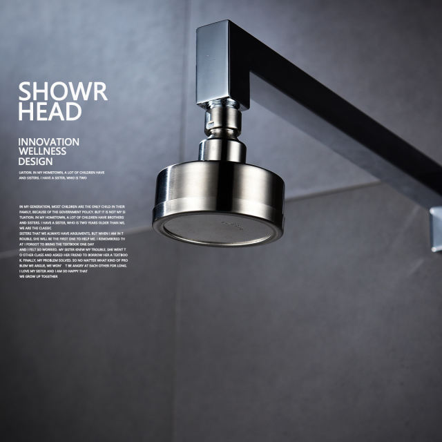 Tecmolog Stainless Steel Brushed Nickel Shower Head, Pressurized Water Saving and 360°  Rotate Shower Head BD141S/BD141AS