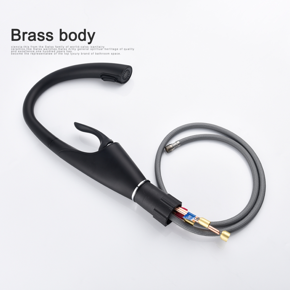 Tecmolog Brass Brushed Chrome/Nickel/Black Pull-Out Faucets with Concealed 360° Rotating Sprayer, Desk Mounted Kitchen Tap BC1229/BNA1229/BB1229