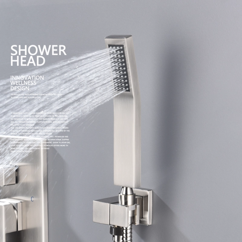 Tecmolog Bathroom Shower System with 10''/12'' Rain Shower and Handheld, Wall Mount Shower Set with Rough-in Valve Body, Nickel, BNA314B/BC314C