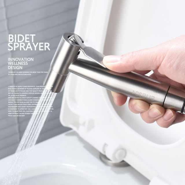 Tecmolog Stainless Steel Bathroom Bidet Sprayer Set, Hot and Cold Concealed Bidet Sprayer Kit for Toilet, Brushed Nickel/Black, WS024F9/WS024CF3