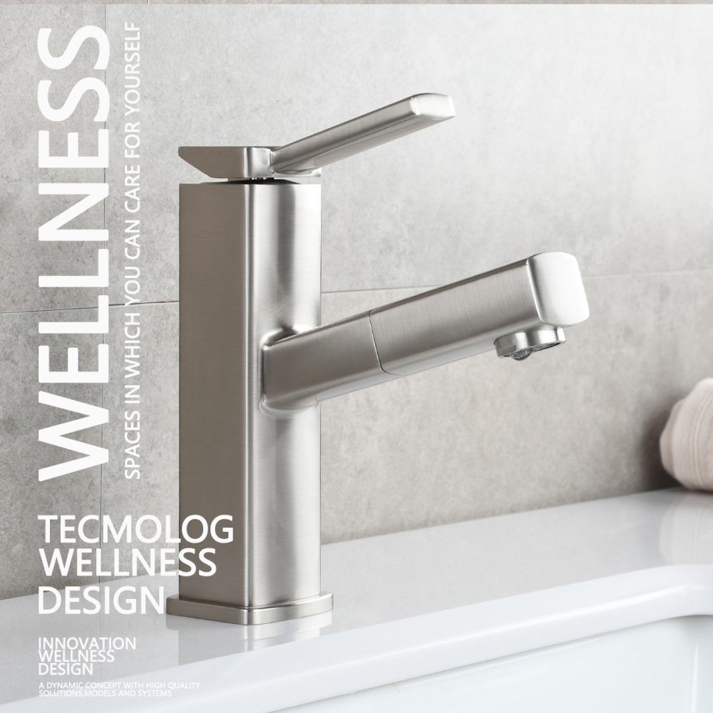 Tecmolog Pulldown Basin Faucet with Pull out Sprayer, Brass Single Lever Faucet for Bathroom, Black/Chrome/Brushed Nickel, BB6129/BC6129/BNA6129