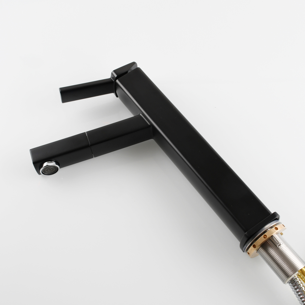 Tecmolog Pulldown Basin Faucet with Pull out Sprayer, Brass Single Lever Faucet for Bathroom, Black/Chrome/Brushed Nickel, BB6129/BC6129/BNA6129