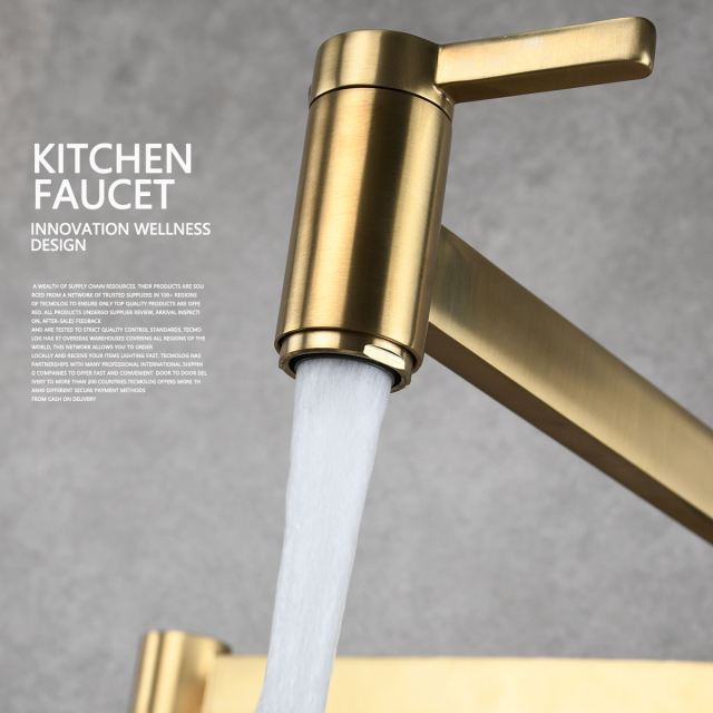 Tecmolog Kitchen Faucet Wall Mount Pot Filler Faucet Brass 360 Rotatable Folding Lengthened with Double Joint Swing Arms,2 Handles Control Water Nickel/Chome/Black/Golden/Brushed Brass