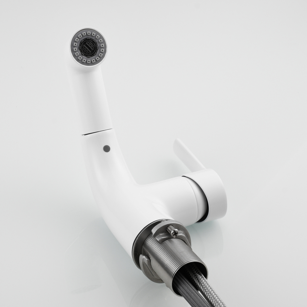 Tecmolog Brass Pull Out Faucet Basin Faucet Hot And Cold Water Faucet Bathroom Mixer Tap Single Handle,BC6232