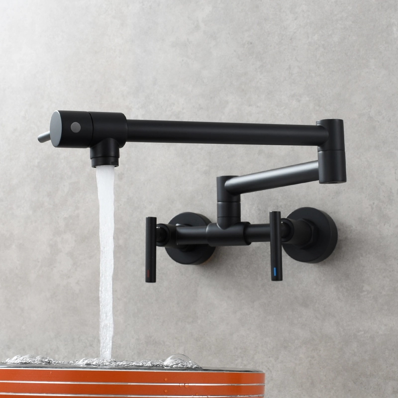 Tecmolog Pot Filler Faucet Wall Mounted Kitchen Faucet with Dual Switch Double Handle Taps,BC1243