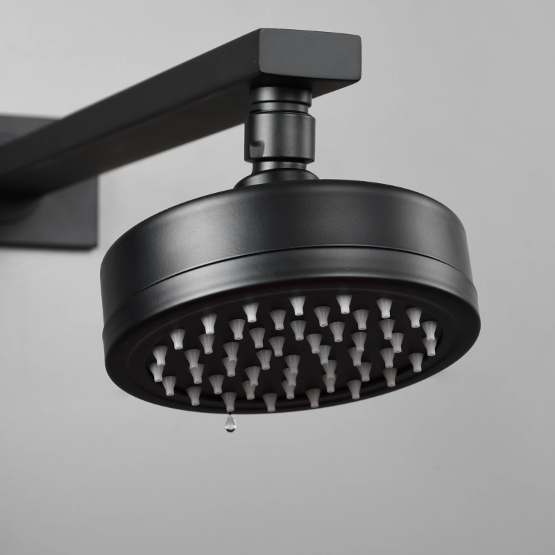 Tecmolog Stainless Steel Brushed Nickel Shower Head, Pressurized Water Saving and 360°  Rotate Shower Head