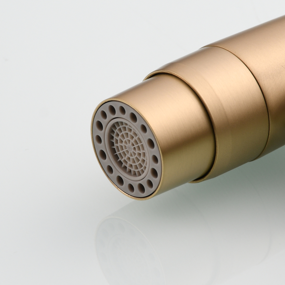 Tecmolog Stainless Steel Bathroom Bidet Sprayer Set, Hot and Cold Concealed Bidet Sprayer Kit for Toilet, Brushed Nickel/Black, WS024F9/WS024CF3