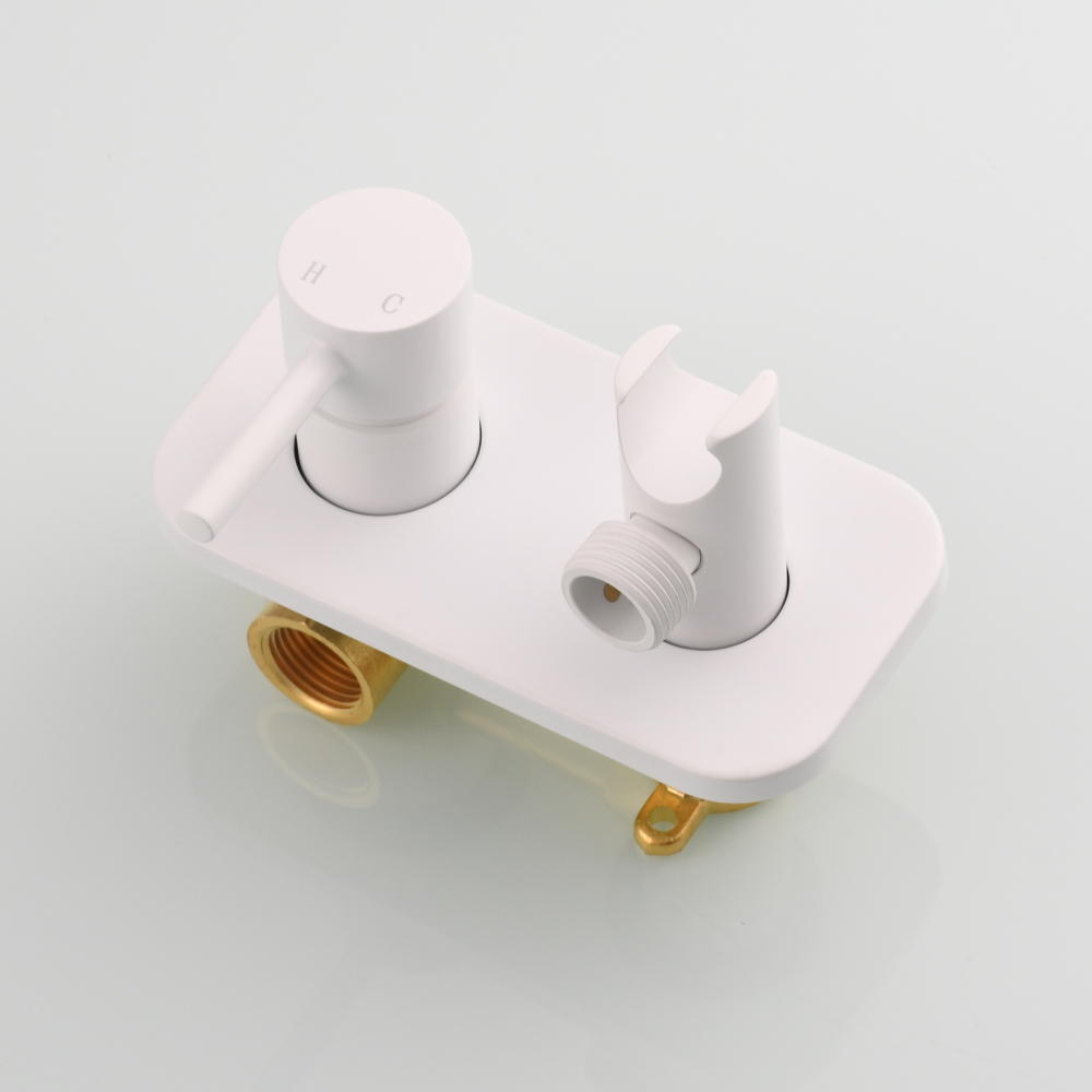 Tecmolog Stainless Steel Bathroom Bidet Sprayer Set, Hot and Cold Concealed Bidet Sprayer Kit for Toilet, Brushed Nickel/Black, WS024F9/WS024CF3