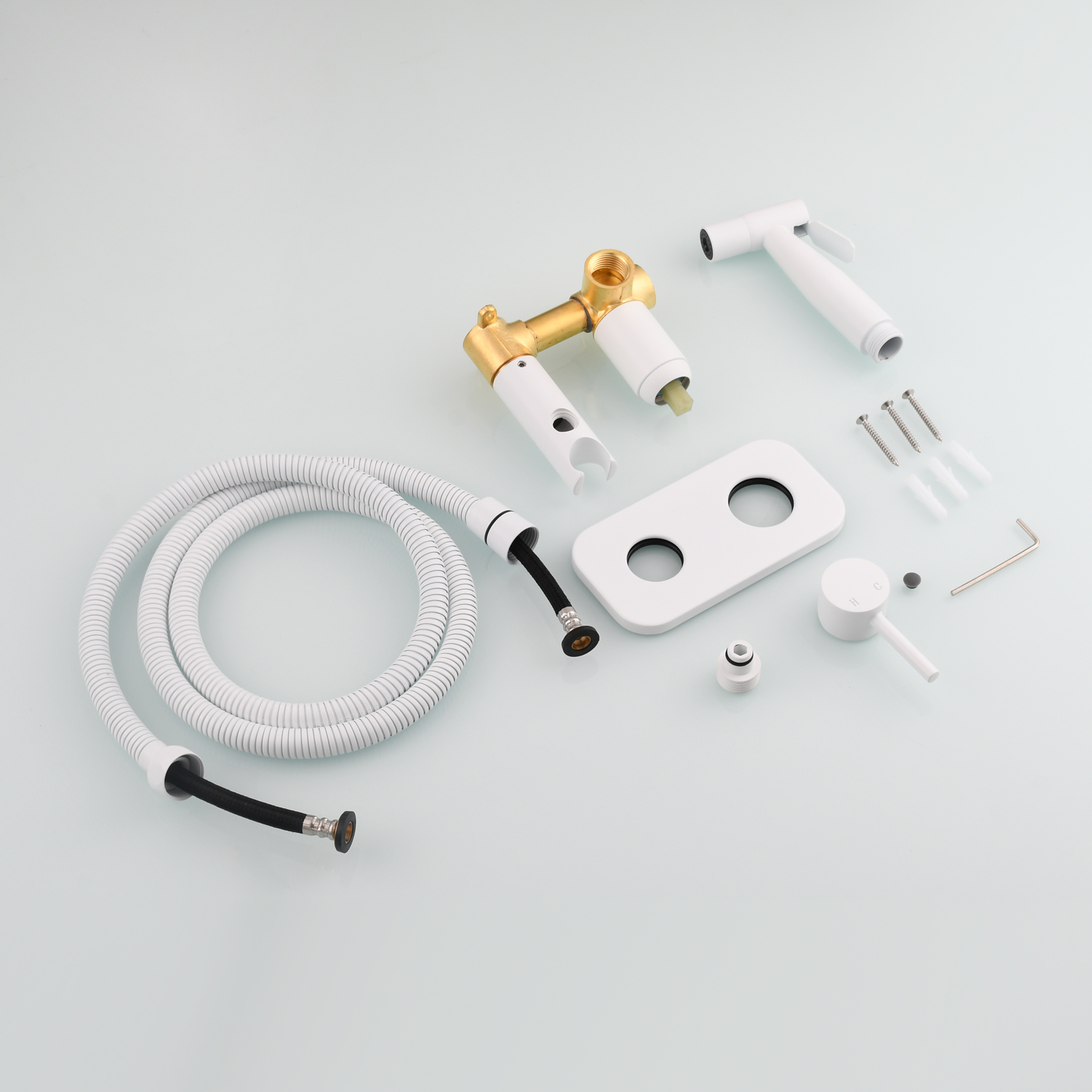 Tecmolog Stainless Steel Bathroom Bidet Sprayer Set, Hot and Cold Concealed Bidet Sprayer Kit for Toilet, Brushed Nickel/Black, WS024F9/WS024CF3