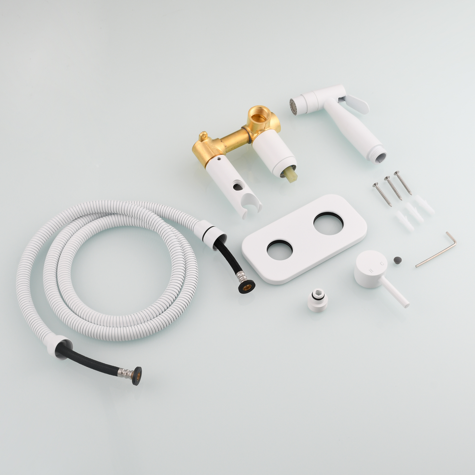 Tecmolog Stainless Steel Bathroom Bidet Sprayer Set, Hot and Cold Concealed Bidet Sprayer Kit for Toilet, Brushed Nickel/Black, WS024F9/WS024CF3