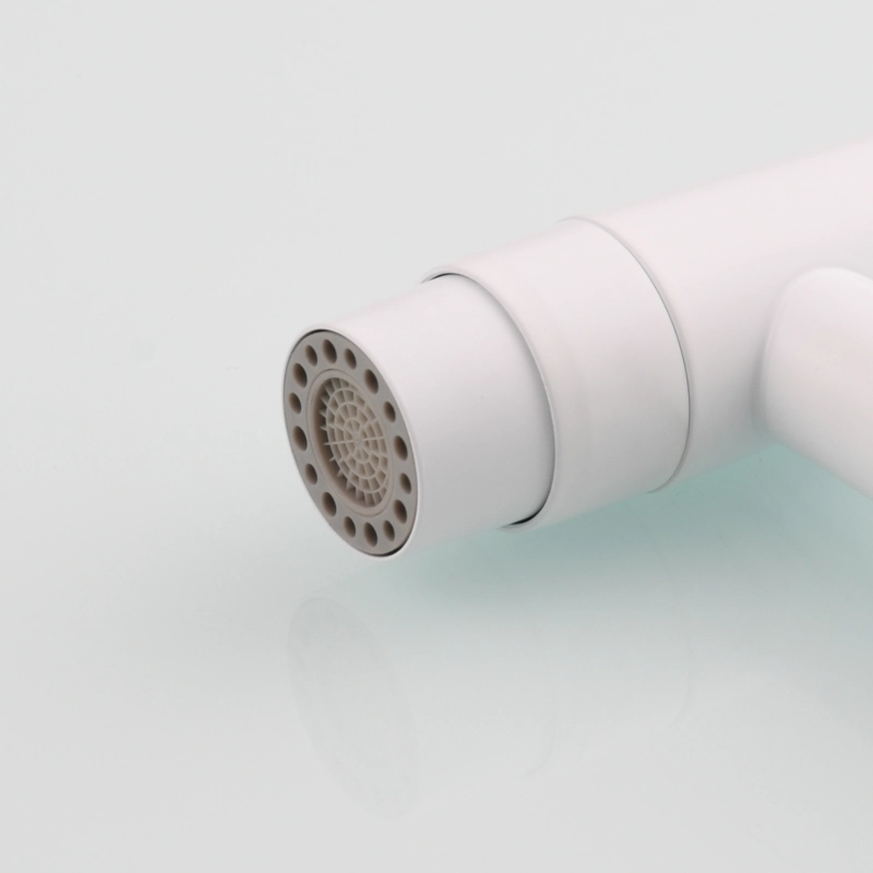 Tecmolog Stainless Steel White Bidet Sprayer Set Dual Function Shattaf with Holder and Hose