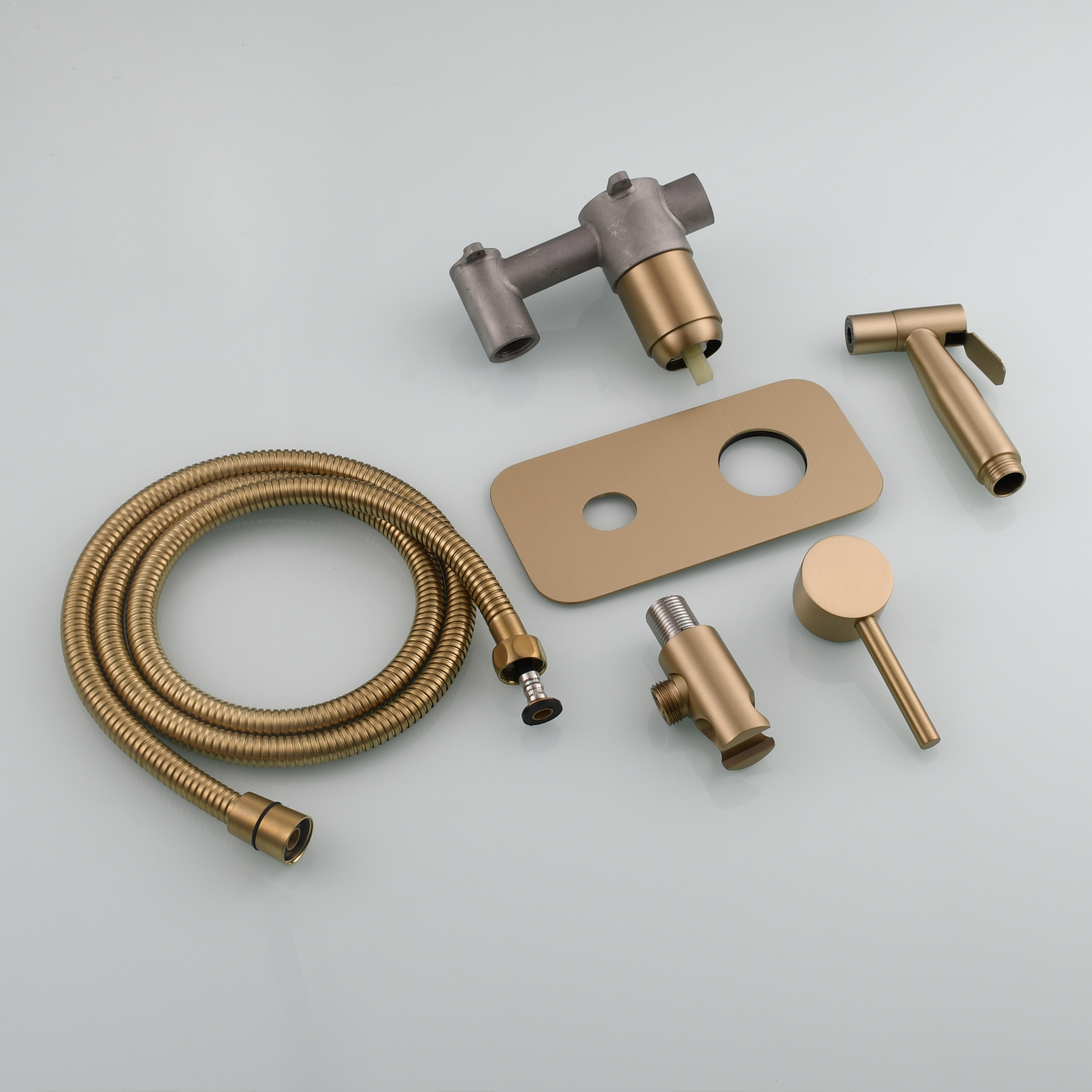 Tecmolog Stainless Steel Toilet Bidet Sprayer Hot and Cold Bidet Spray Set