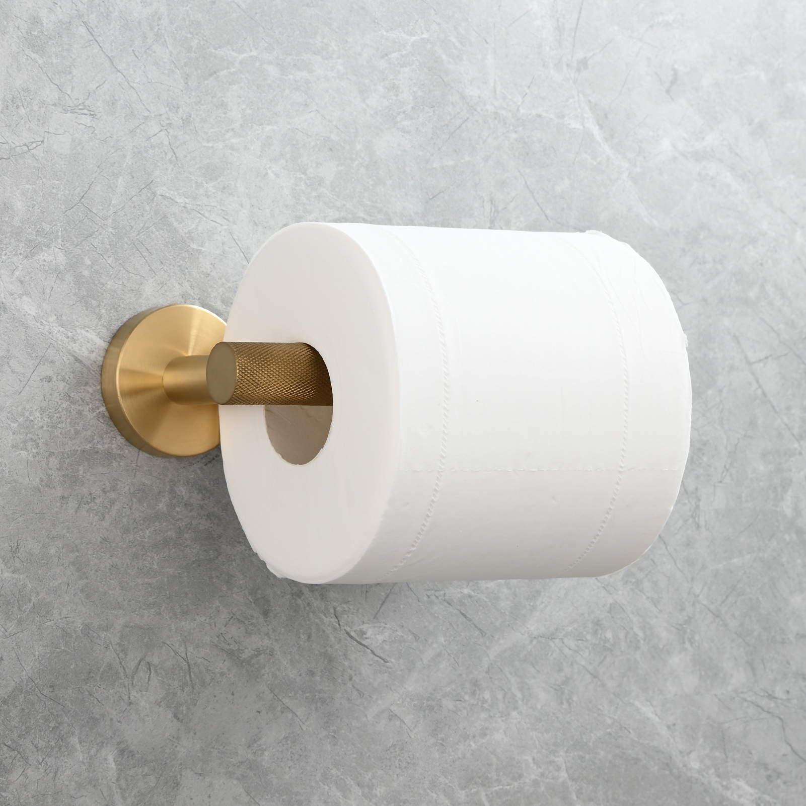 Tecmolog Stainless Steel Toilet Paper Holder,Tissue Roll Hanger Wall Mount Holder for Bathroom