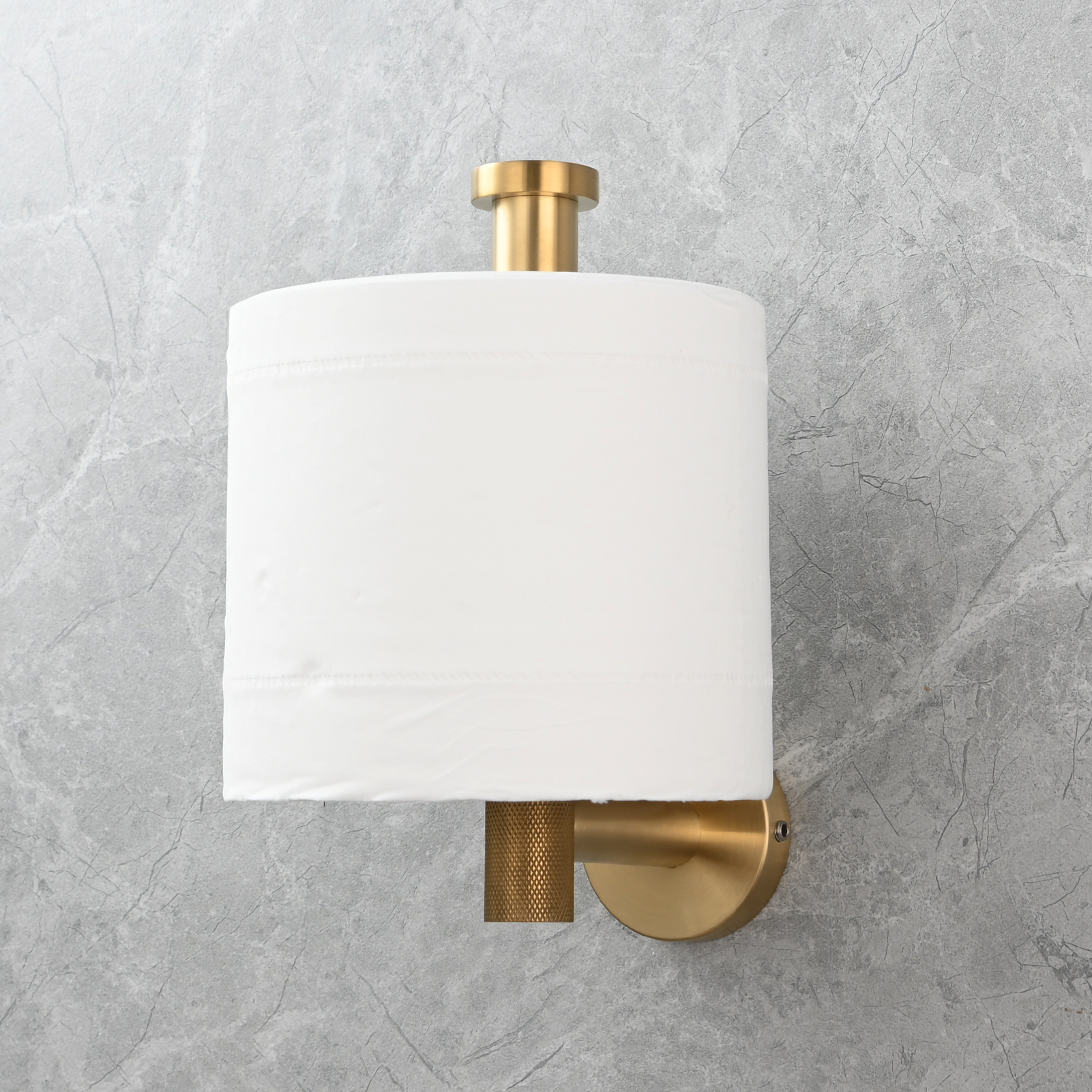 Tecmolog Stainless Steel Toilet Paper Holder,Tissue Roll Hanger Wall Mount Holder for Bathroom