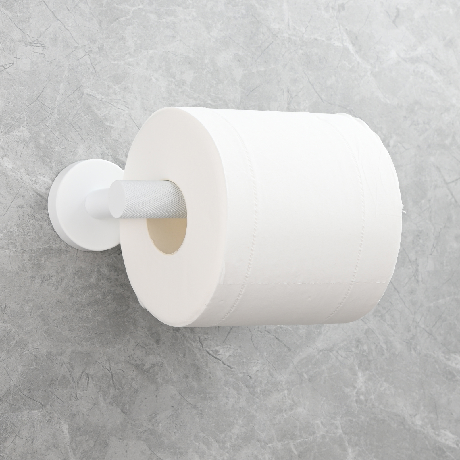 Tecmolog Stainless Steel Toilet Paper Holder,Tissue Roll Hanger Wall Mount Holder for Bathroom