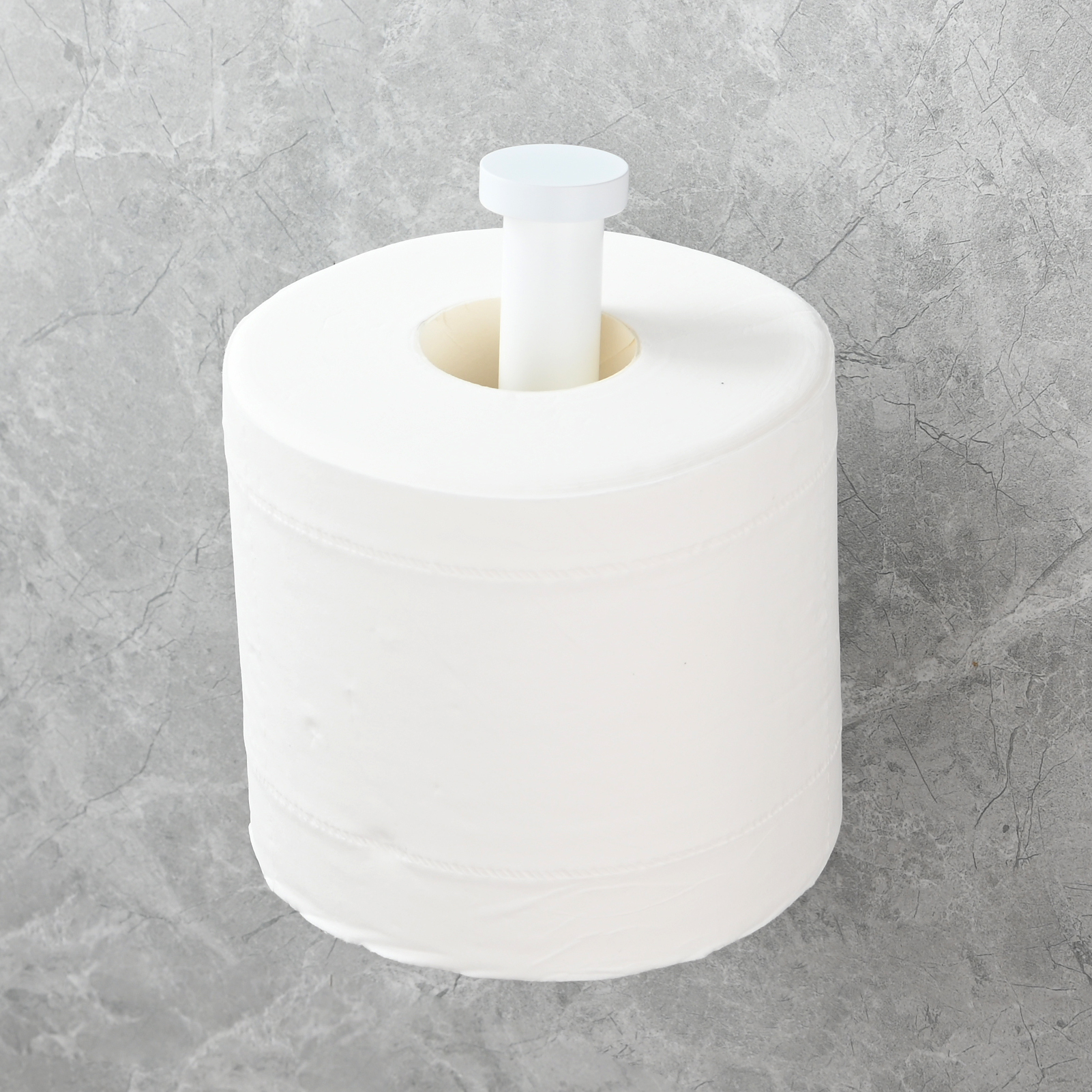 Tecmolog Stainless Steel Toilet Paper Holder,Tissue Roll Hanger Wall Mount Holder for Bathroom