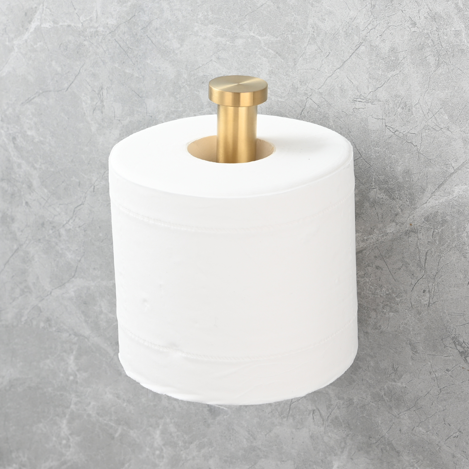 Tecmolog Stainless Steel Wall Mounted Toilet Roll Holder for Bathroom, Equipped with Anti Drop Function for Tissue Paper