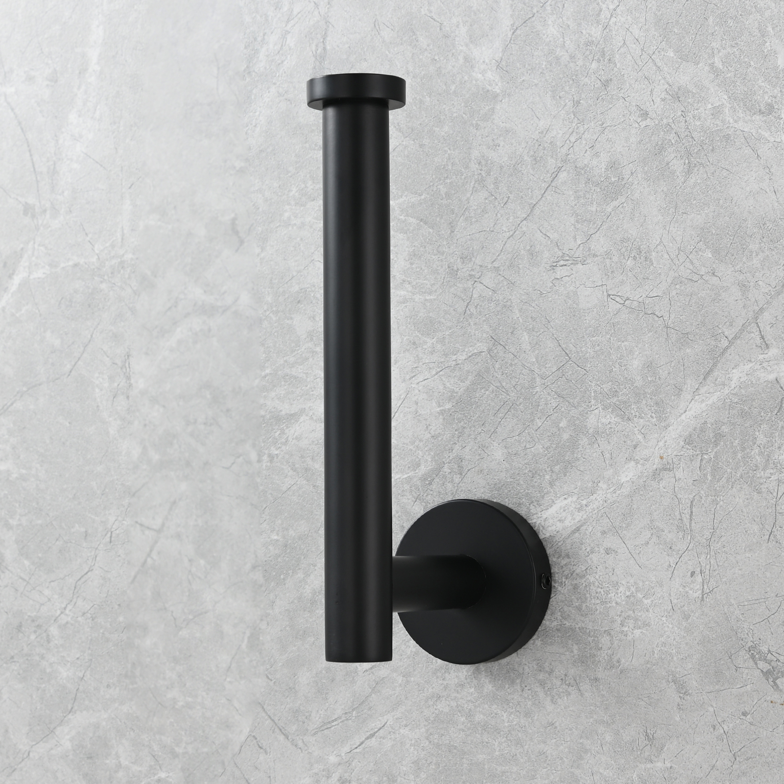 Tecmolog Stainless Steel Paper Holder,Wall Mounted Screw-in Paper Towel Roll Holder