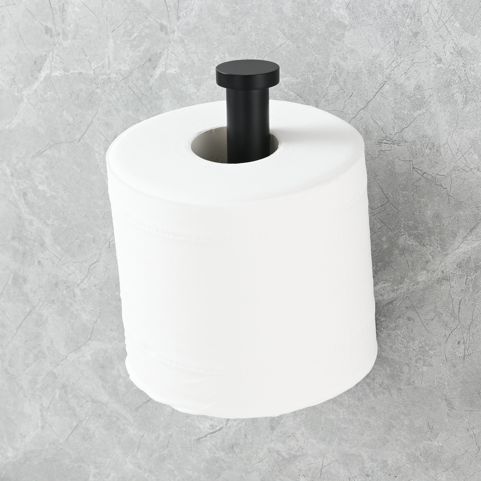 Tecmolog Stainless Steel Paper Holder,Wall Mounted Screw-in Paper Towel Roll Holder