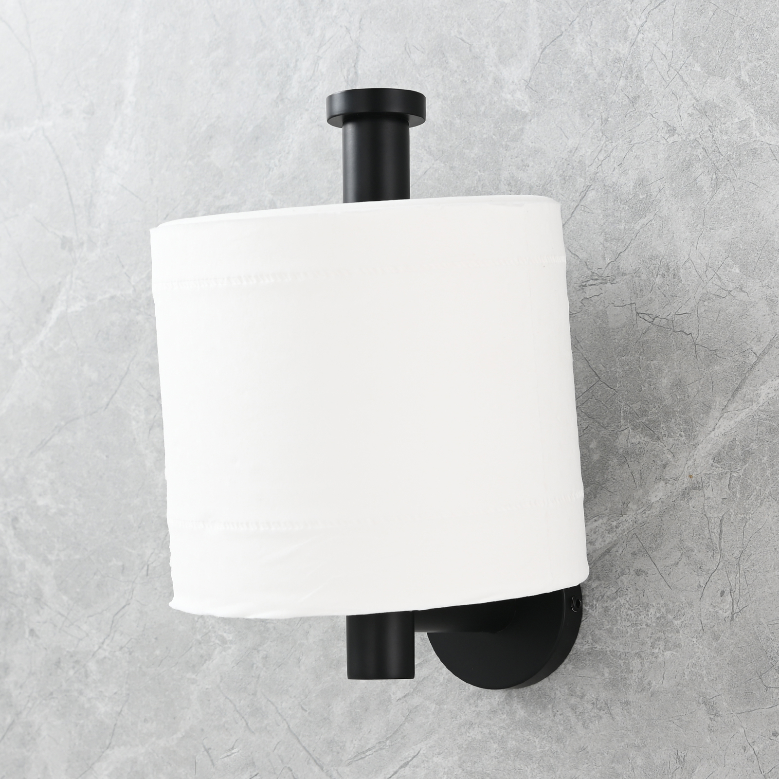 Tecmolog Stainless Steel Paper Holder,Wall Mounted Screw-in Paper Towel Roll Holder