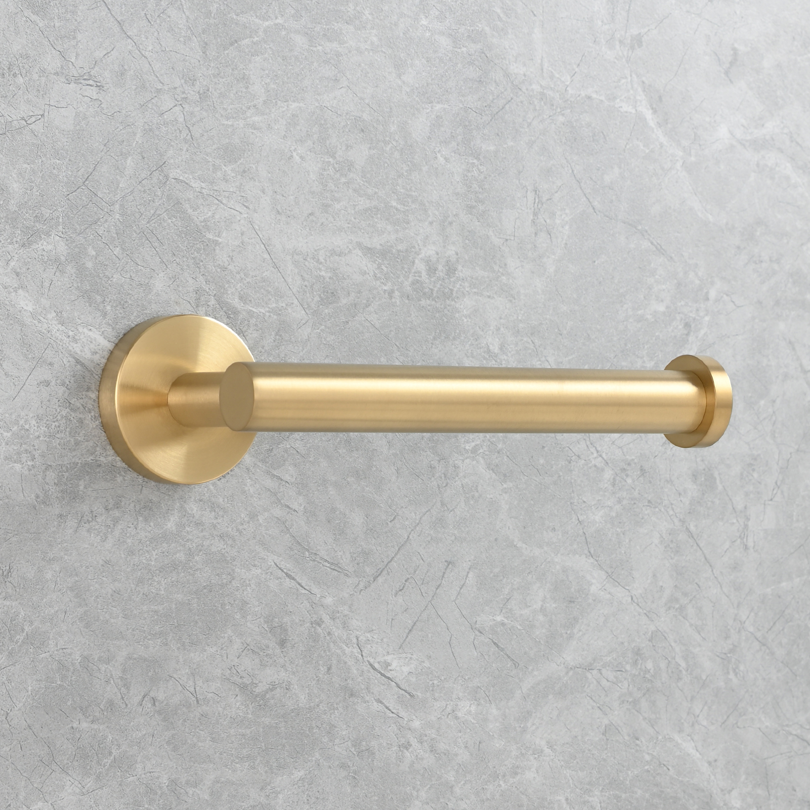 Tecmolog Stainless Steel Paper Holder,Wall Mounted Screw-in Paper Towel Roll Holder
