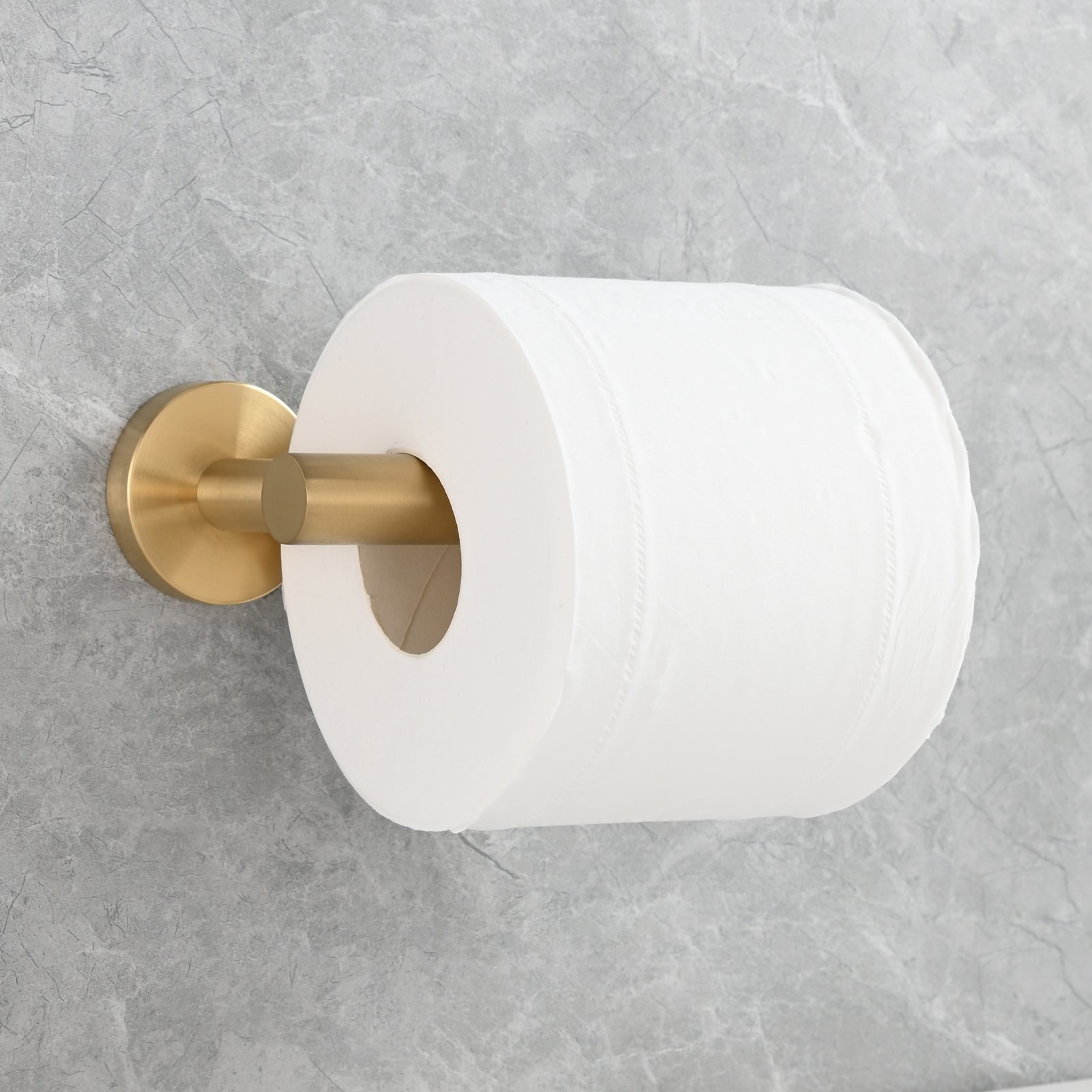 Tecmolog Stainless Steel Paper Holder,Wall Mounted Screw-in Paper Towel Roll Holder