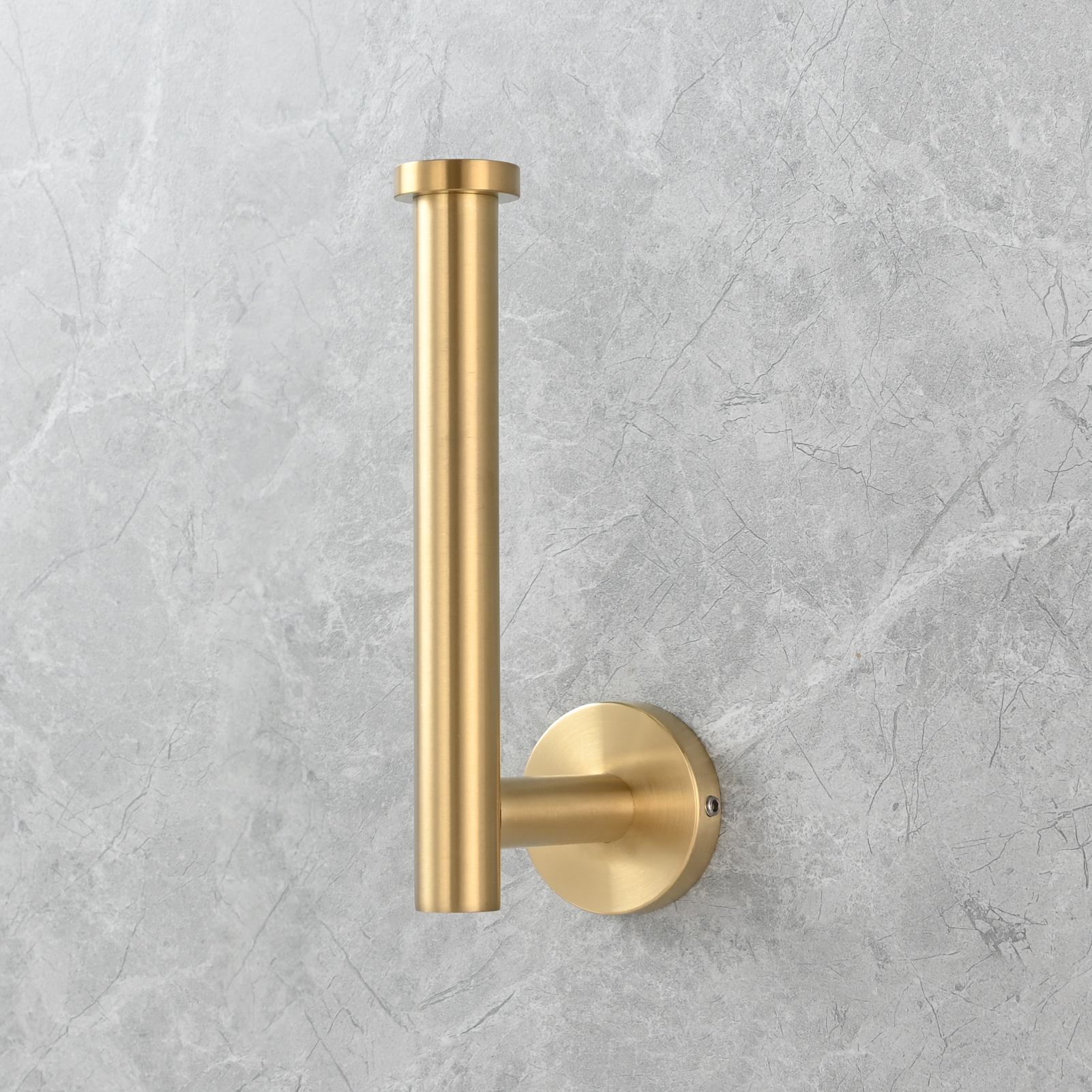 Tecmolog Stainless Steel Paper Holder,Wall Mounted Screw-in Paper Towel Roll Holder