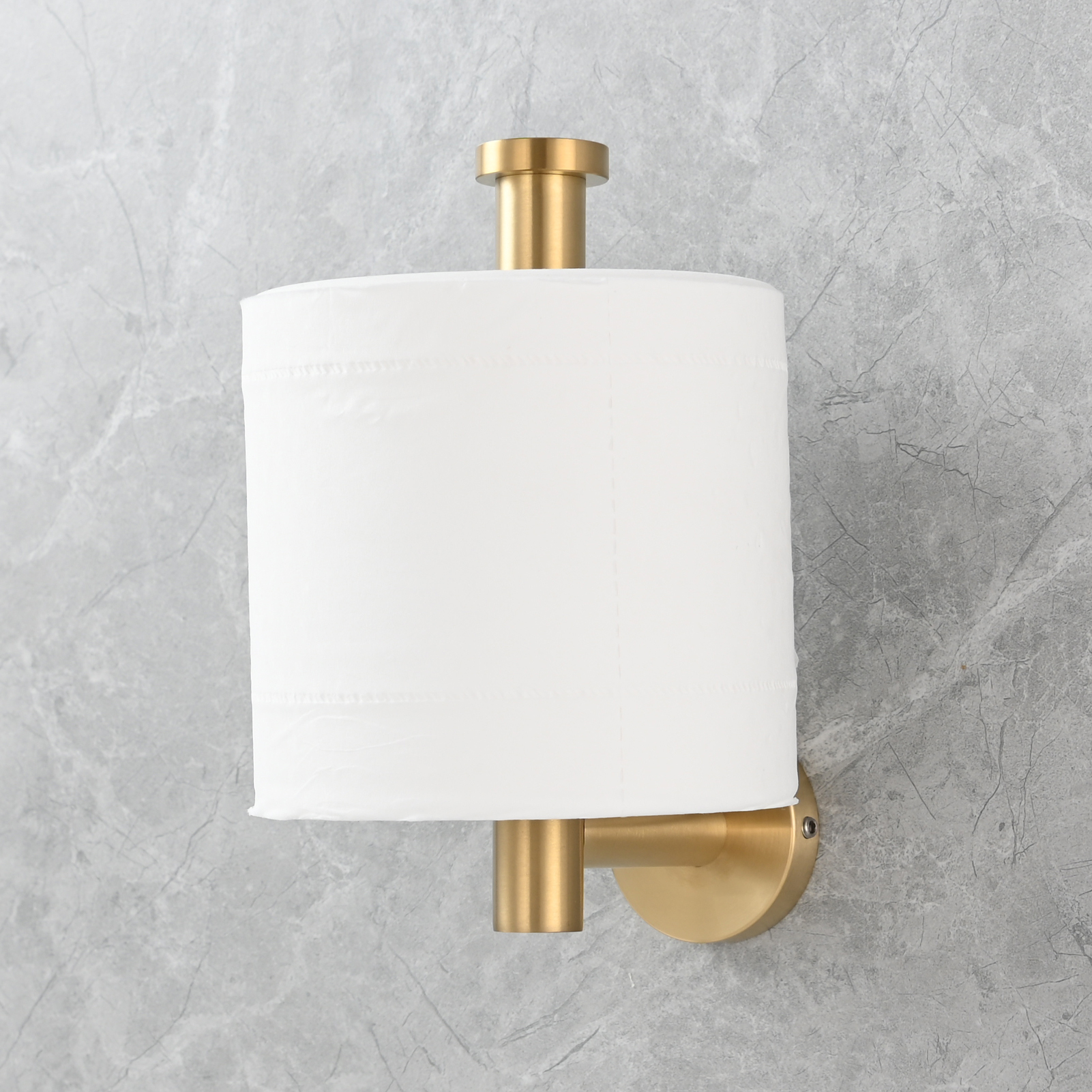 Tecmolog Stainless Steel Paper Holder,Wall Mounted Screw-in Paper Towel Roll Holder