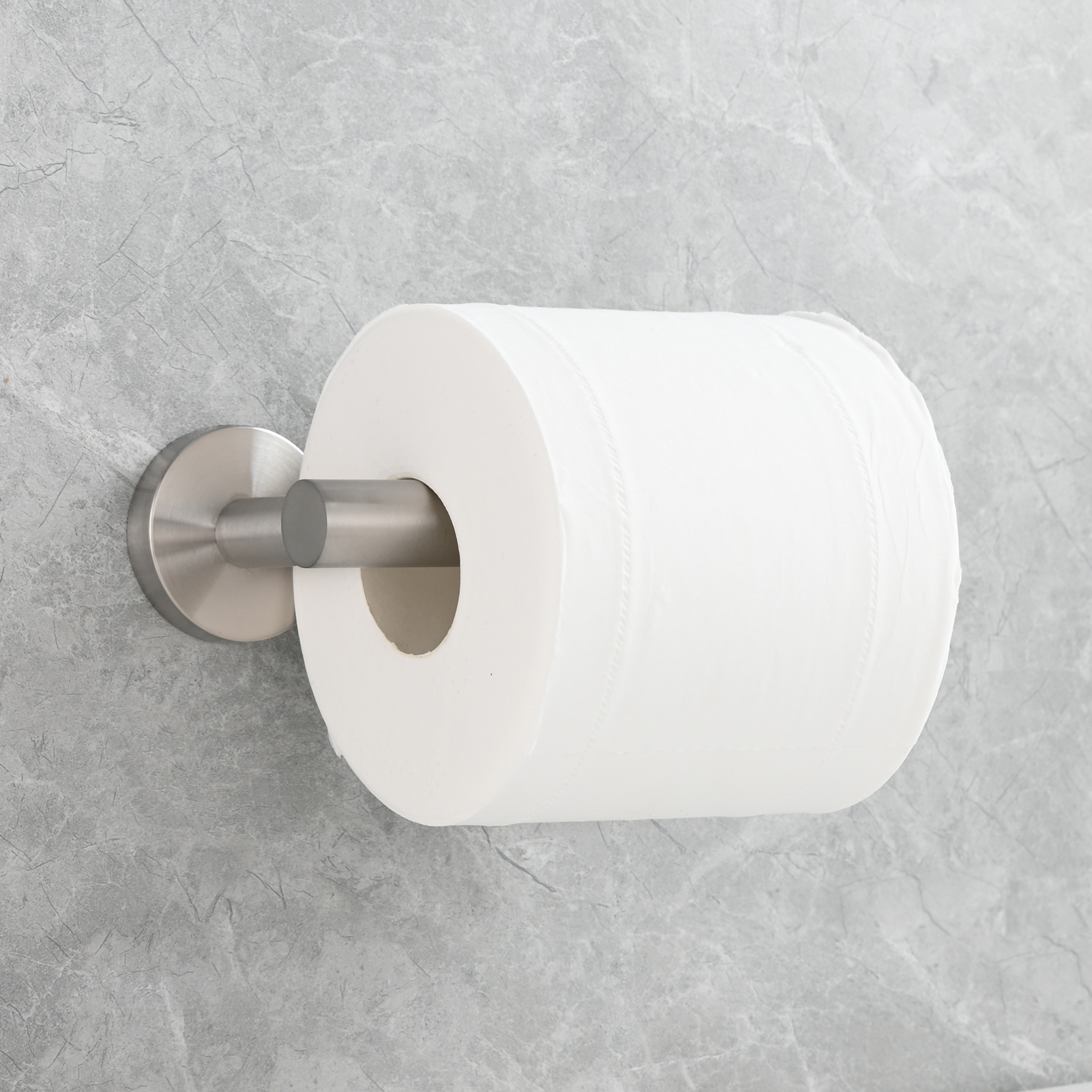 Tecmolog Stainless Steel Paper Holder,Wall Mounted Screw-in Paper Towel Roll Holder