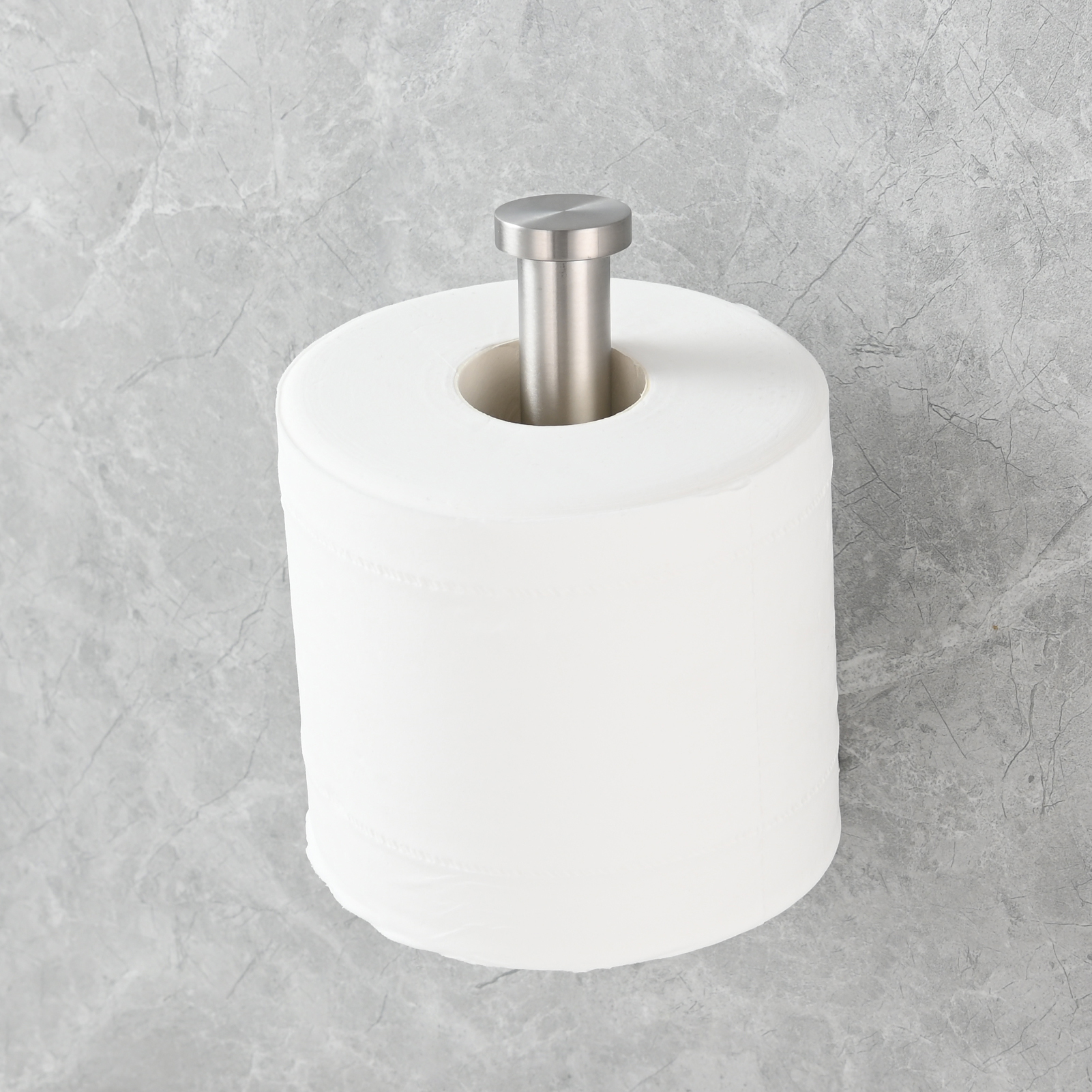 Tecmolog Stainless Steel Paper Holder,Wall Mounted Screw-in Paper Towel Roll Holder