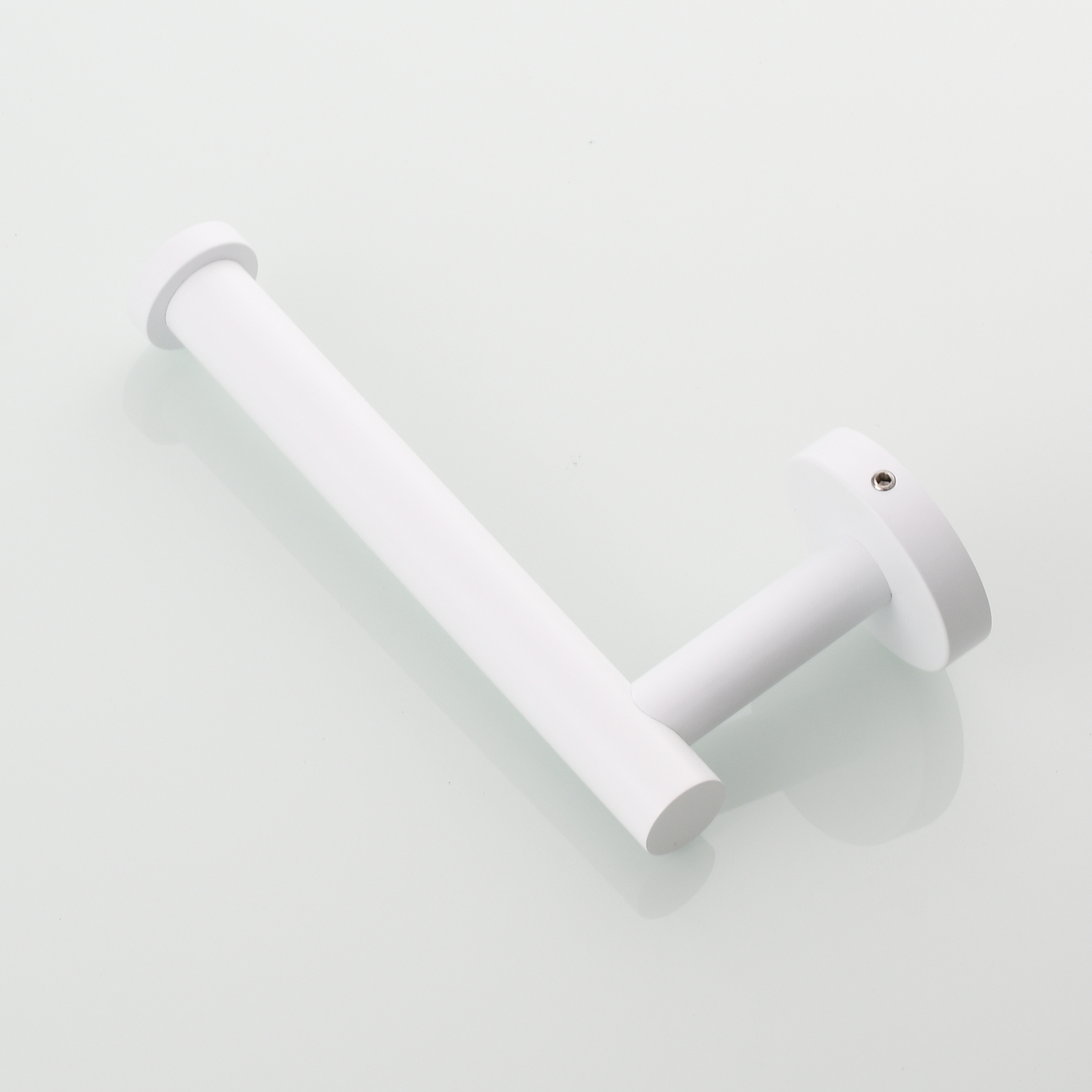 Tecmolog Stainless Steel Paper Holder,Wall Mounted Screw-in Paper Towel Roll Holder