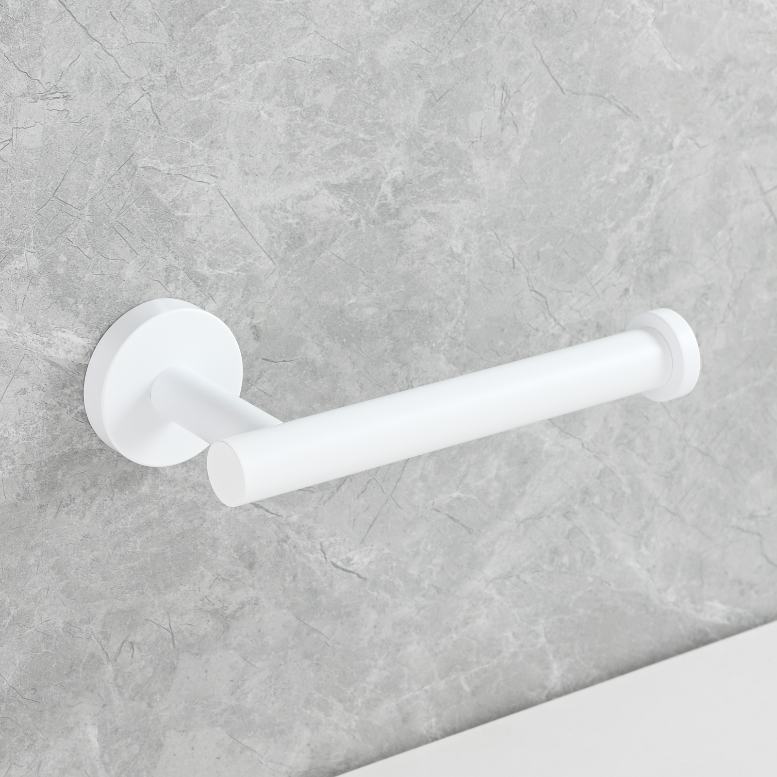 Tecmolog Stainless Steel Paper Holder,Wall Mounted Screw-in Paper Towel Roll Holder