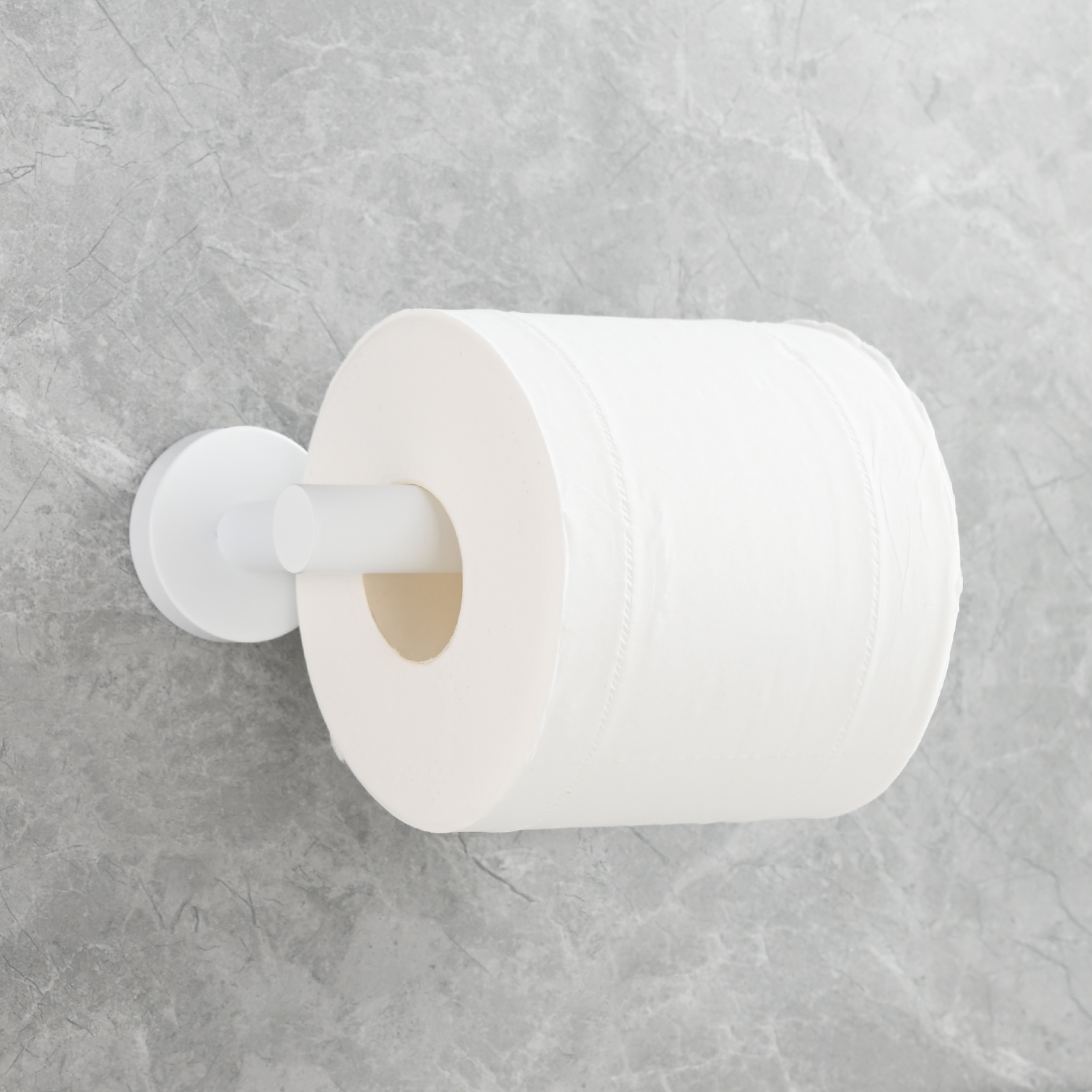 Tecmolog Stainless Steel Paper Holder,Wall Mounted Screw-in Paper Towel Roll Holder