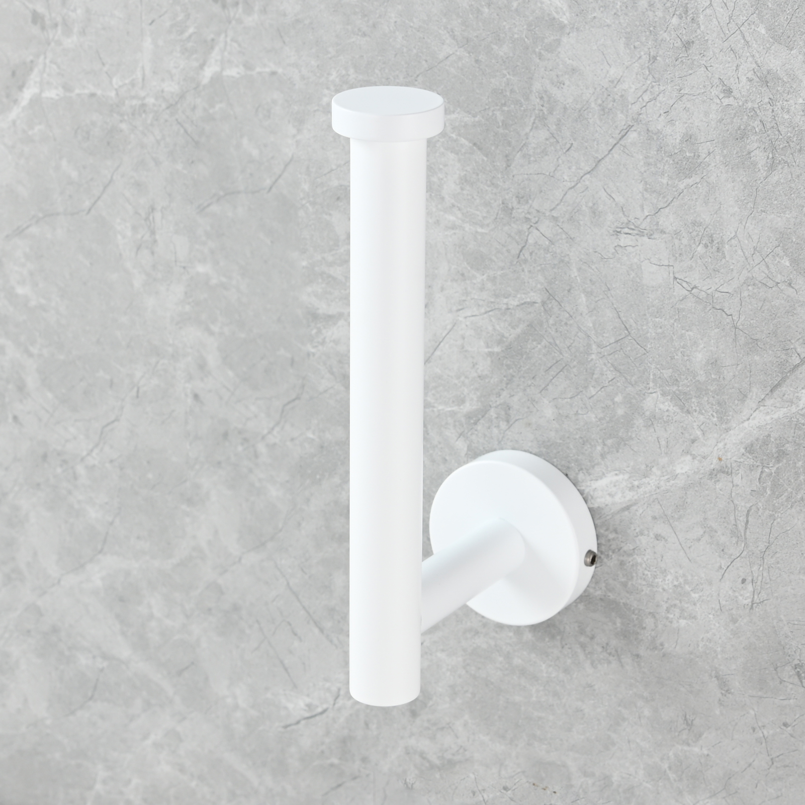 Tecmolog Stainless Steel Paper Holder,Wall Mounted Screw-in Paper Towel Roll Holder