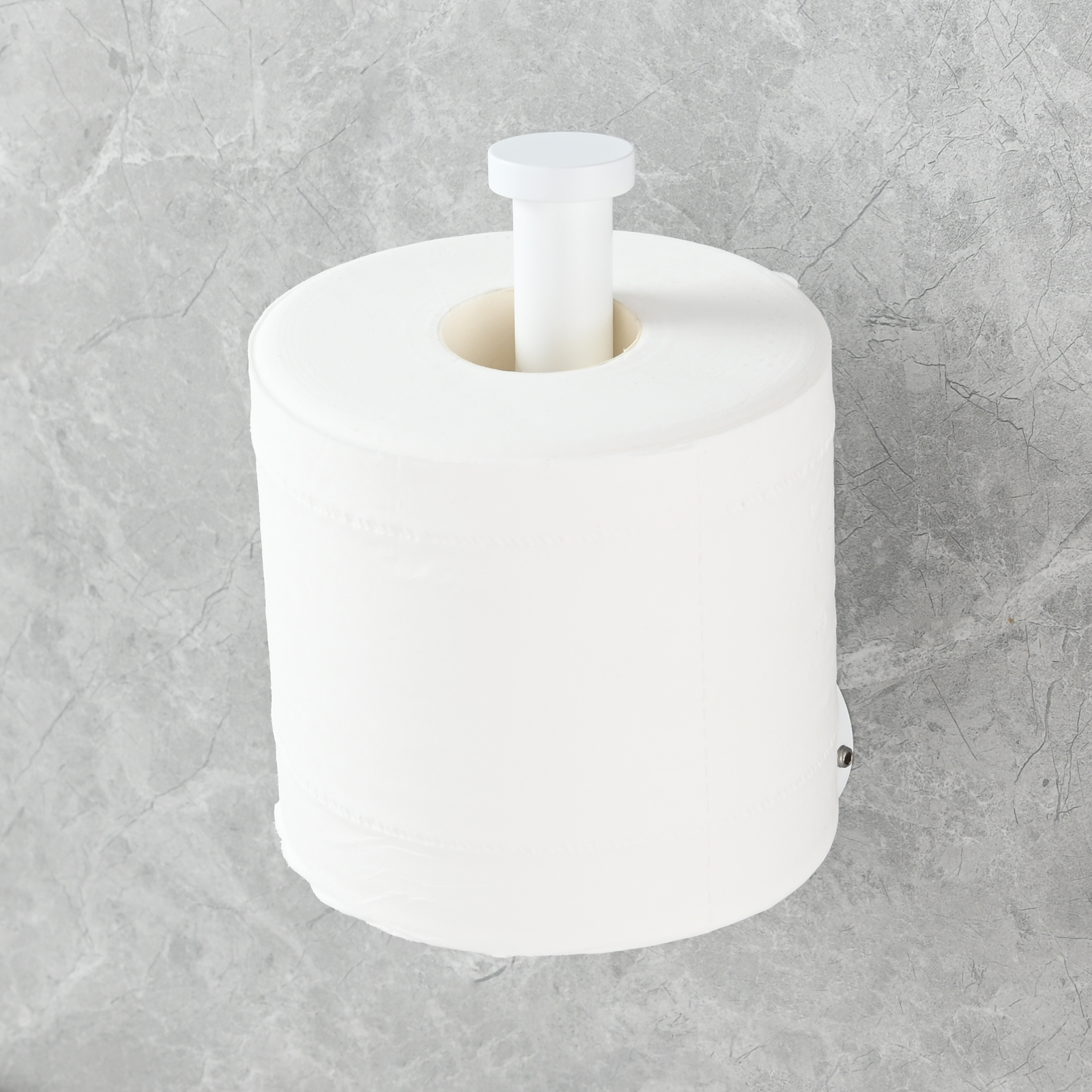 Tecmolog Stainless Steel Paper Holder,Wall Mounted Screw-in Paper Towel Roll Holder