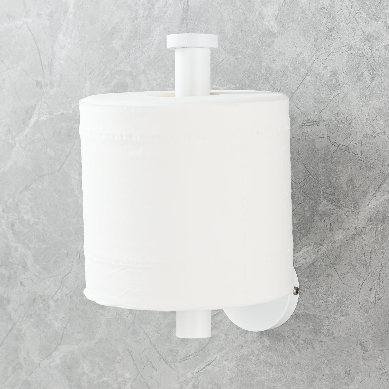 Tecmolog Stainless Steel Paper Holder,Wall Mounted Screw-in Paper Towel Roll Holder
