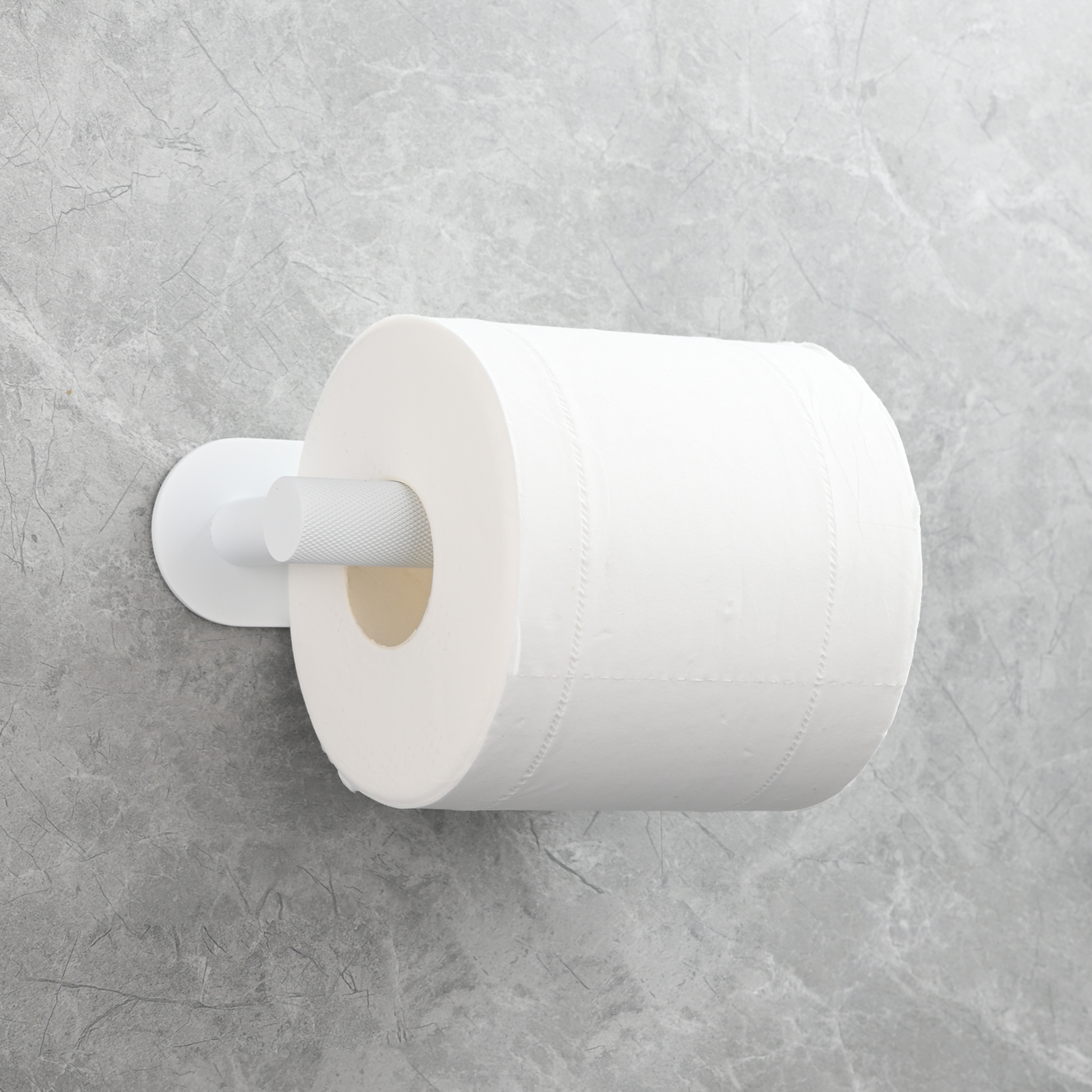 Tecmolog Stainless Steel Wall Mounted Toilet Roll Holder for Bathroom, Equipped with Anti Drop Function for Tissue Paper
