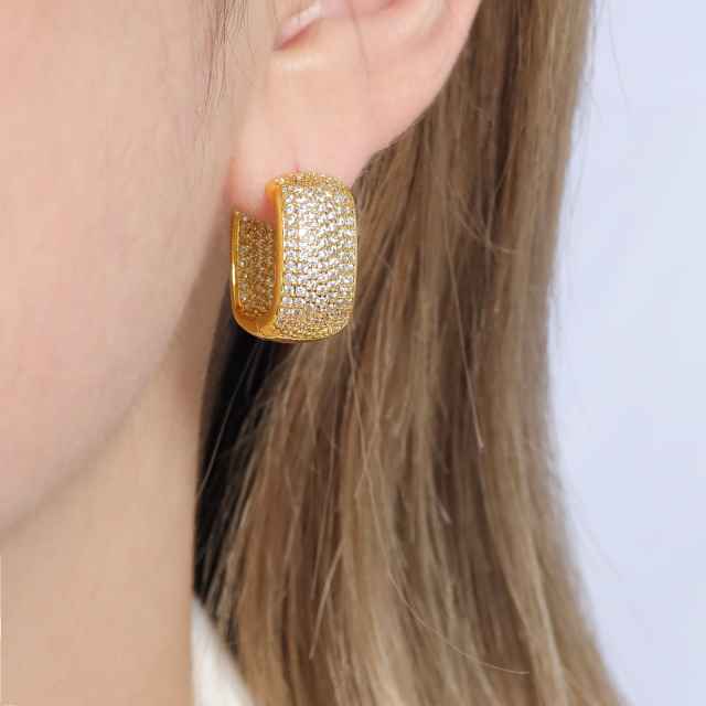 XYE100497 earring