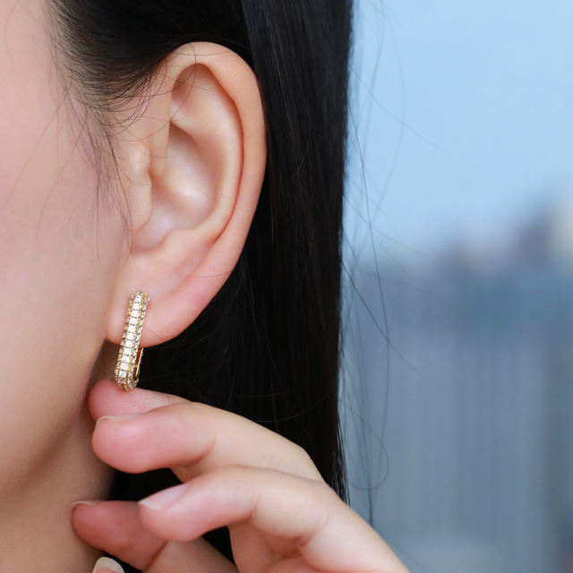 earrings  XYE101010