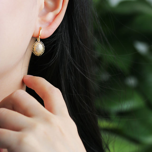 earrings  XYE104143