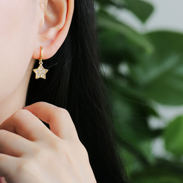 earrings  XYE104144