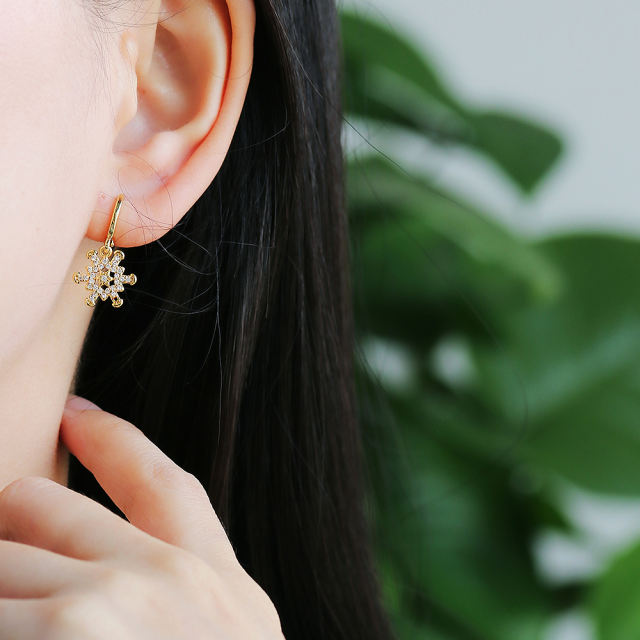earrings  XYE104135