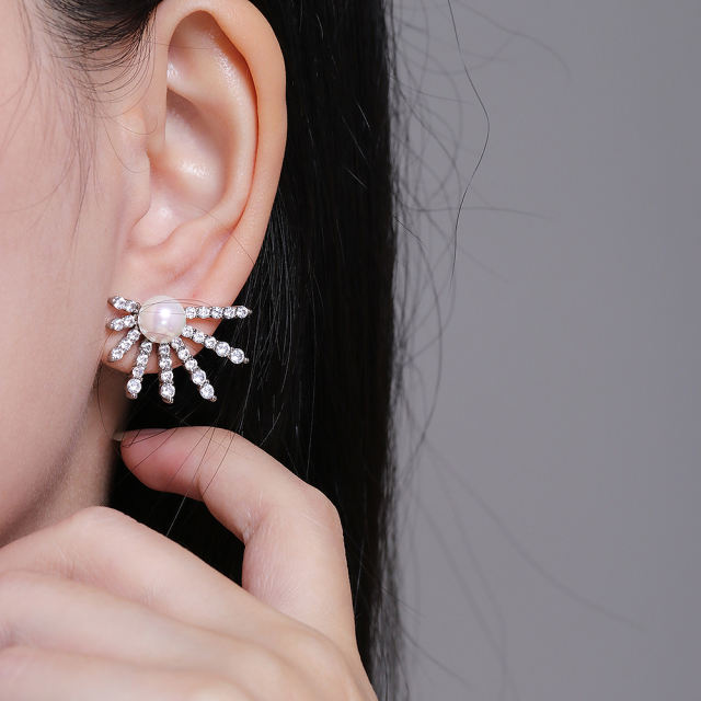 earrings   XYE104060