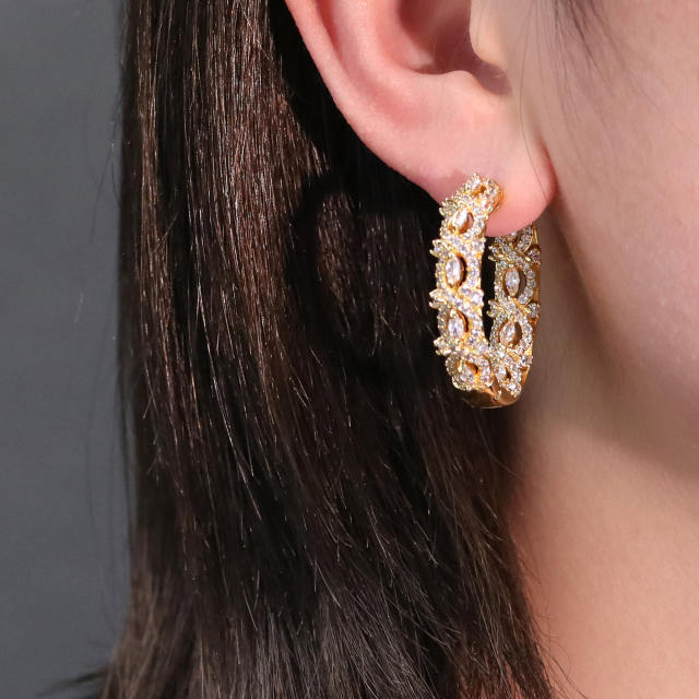 earrings   XYE101623