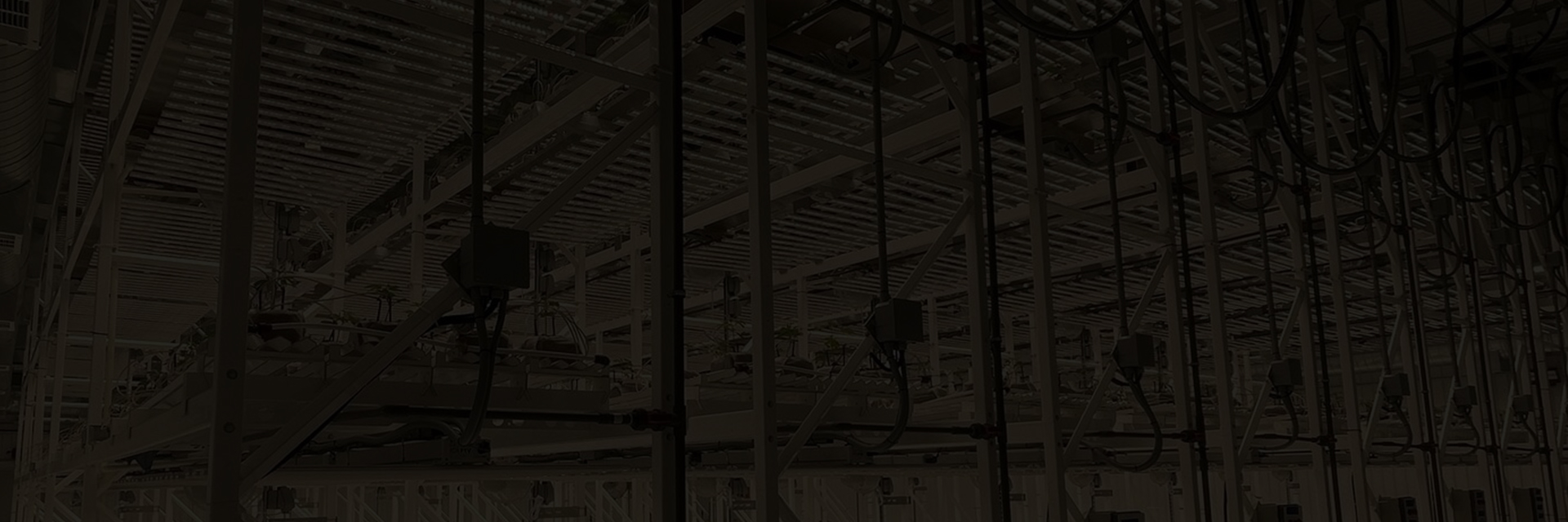 INDOOR CULTIVATION  SOLUTION PROVIDER