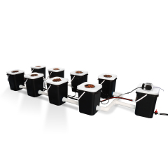 8-Site Bubble Flow Buckets -RDWC- Hydroponic System SuperCloset