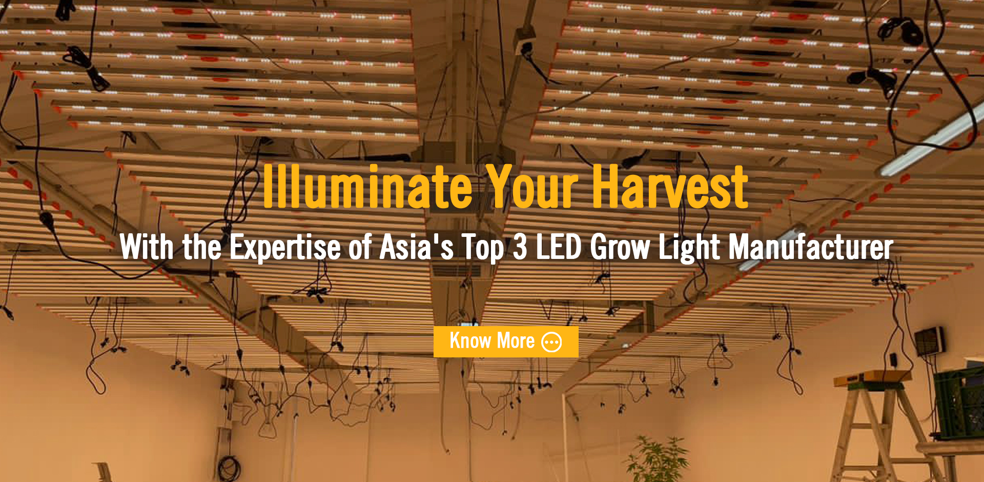 Illuminate Your HarvestWith the Expertise of Asia's Top 3 LED Grow Light Manufacturer
