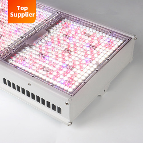 SunPlus Cost-Effective Toplight Full Spectrum Replacing HPS HID CMH LED Grow Light 600W 1000W