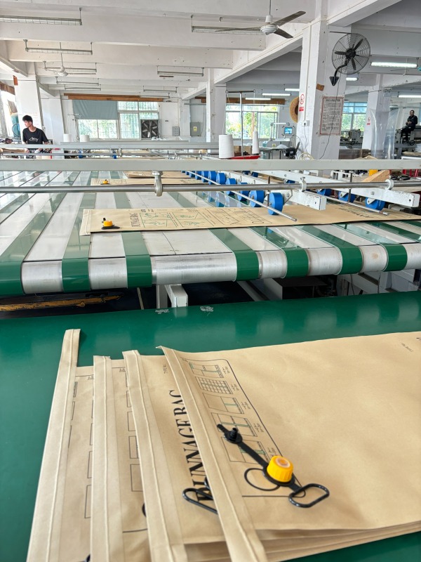 Dunnage Air Bag