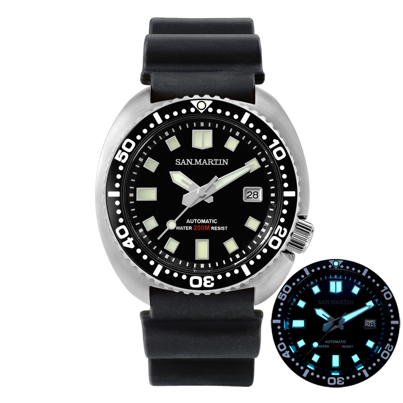 San Martin Turtle - SN0057-G